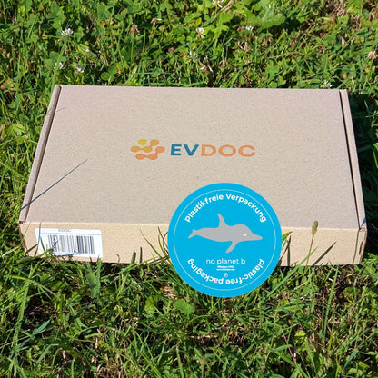 EV-DOC Aero Scheibenwischer, hinten für VW e-up, Skoda Citigo e & SEAT Mii